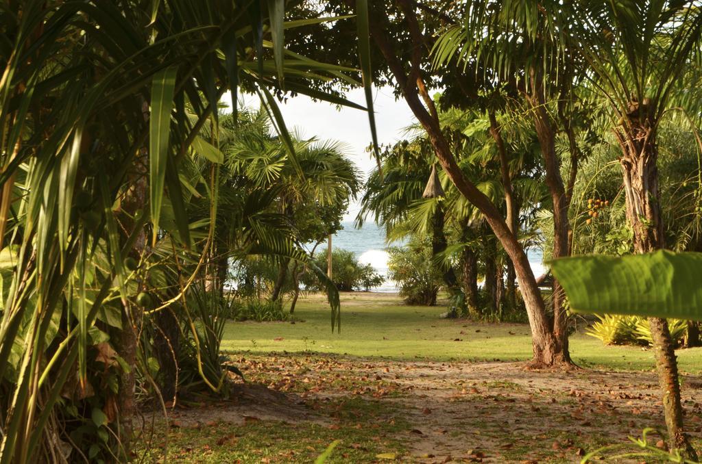 Pousada Tortuga Barra Grande  Exterior photo